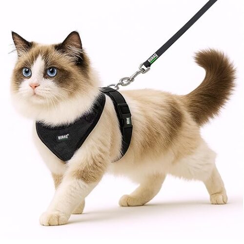 No Pull Cat Harness with Leash, Escape Proof, Ultra-Light Weight, Air Mesh Fabric, Aesthetic Design Adjustable Cat Leash with Harness (M - Black)
