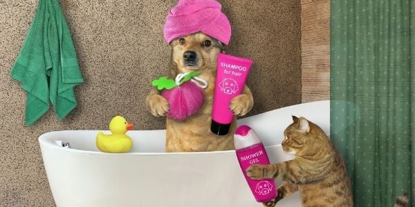 Pet Shampoo & Conditioner